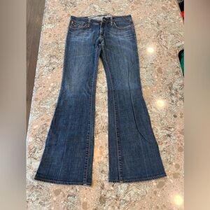Women’s Size 29L Sam & Billy Tyler Flare Jeans